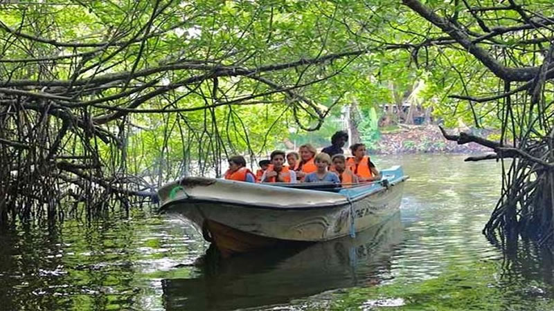 Madu River Boat Safari